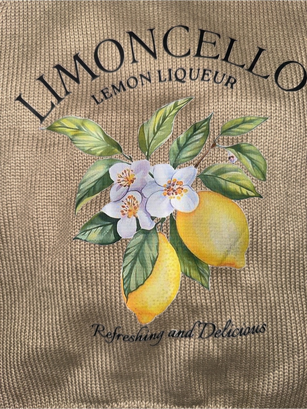 Lemon Graphic Knit Top - Beige